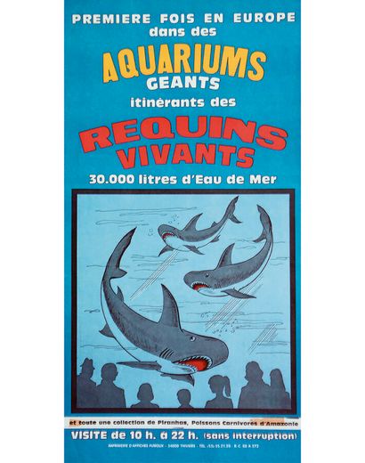 Aquariums Géants Itinérants Requins Vivants...