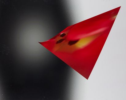 AGID Olivier (1951)

L'Oeil de la V1

Tirage...