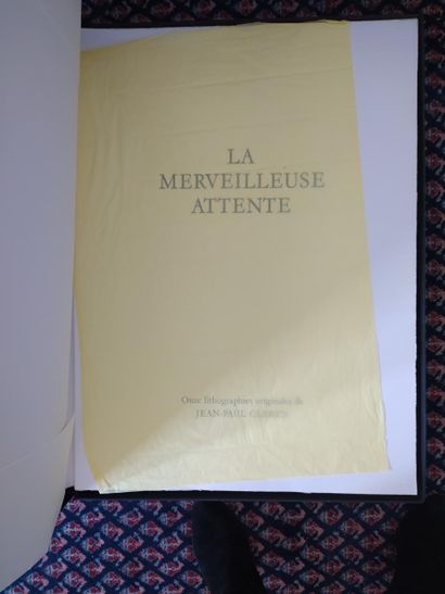 CLEREN Jean-Paul (1940)

LA MERVEILLEUSE...