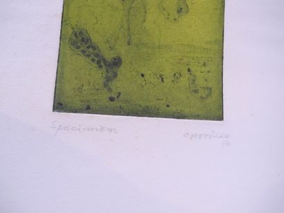 CASTILLO Jorge (né en 1933)

lithographie...