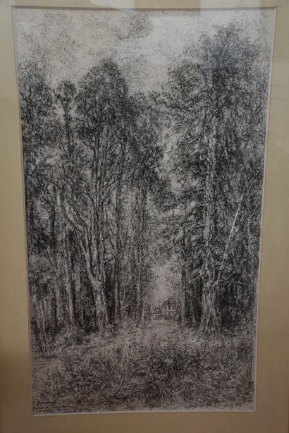 MARAGF

Château de Kerguennec, Morbihan

Encre...