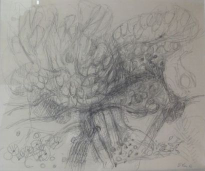 BOLIN Gustav (1920-1999)

Etude d'arbres

crayon...