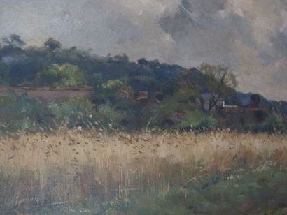 DAMOYE Pierre-Emmanuel (1847 - 1916)

Paysage...