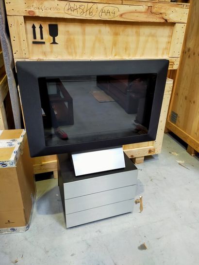 BANG & OLUFSEN

téléviseur (écran 40x66 cm)...