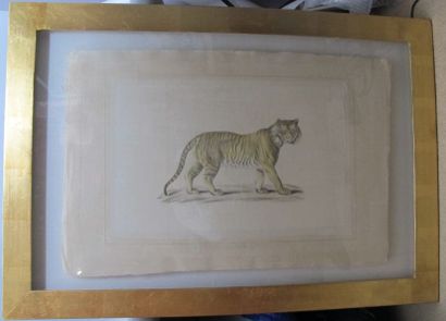 Ecole du XXe siècle

Tigre d'Asie

Peinture...