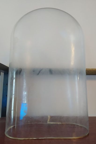 Globe en verre

49 x 30 cm (à vue)