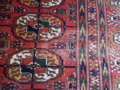 Tapis Boukhara Tekké (chaîne, trame et velours...