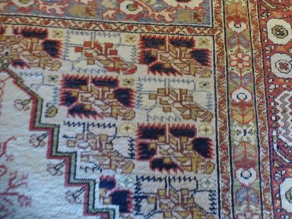 Tapis Ghiordhès en soie (chaîne, trame et...