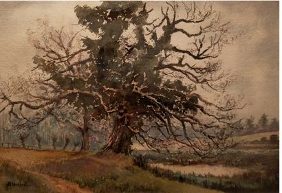 A.CHAMBRET

Vieil arbre au bord d'une pièce...