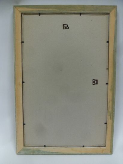 Un cadre vitré contenant une planche d'herbier...
