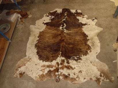 Une peau de Vache domestique (Bos taurus...