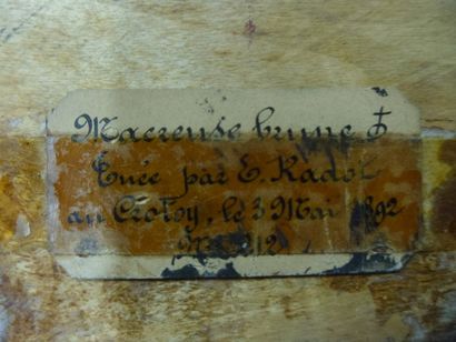 Macreuse brune (Melanitta fusca) (CE) : spécimen...