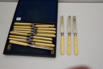 Set of 18 fruit knives with silver blade...