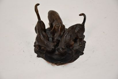 Three cats drinking

bronze with brown patina

8...