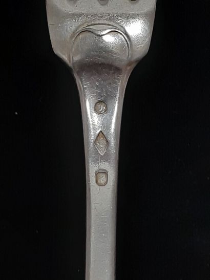 Six teaspoons, a large cutlery, a stew spoon...