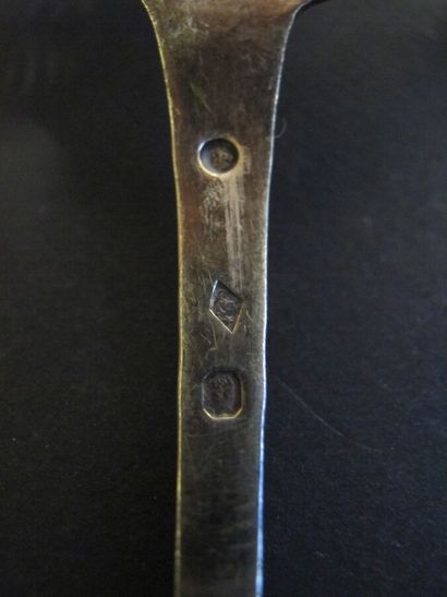 Batch of two spoons saupoudreuses 950 thousandths.

For...