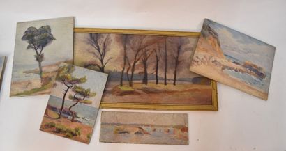 A. PRIVAT

Set of watercolors and 12 panels...