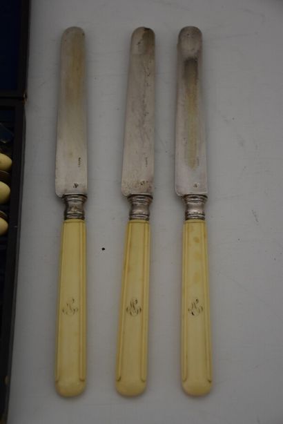 Set of 18 fruit knives with silver blade...