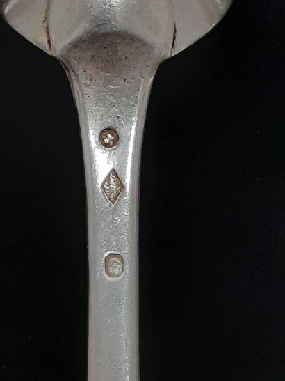 Six teaspoons, a large cutlery, a stew spoon...