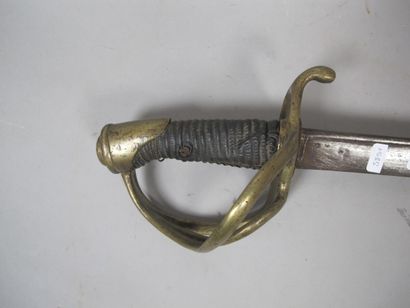 Troop saber model 1816

Fuse to be restored...
