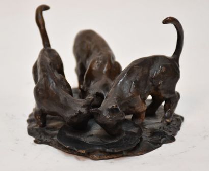 Three cats drinking

bronze with brown patina

8...