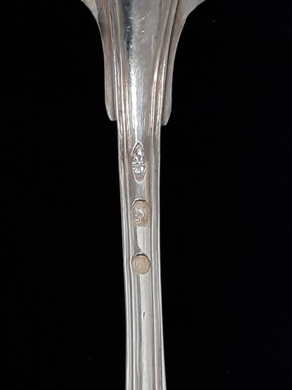 Six teaspoons, a large cutlery, a stew spoon...