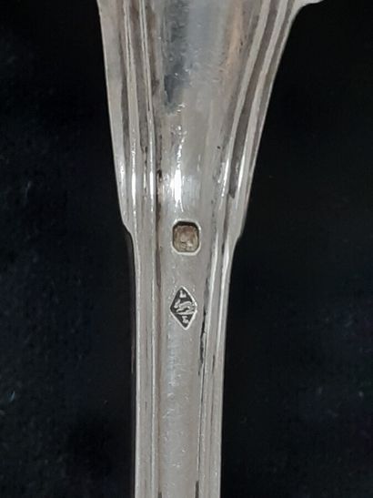Six teaspoons, a large cutlery, a stew spoon...