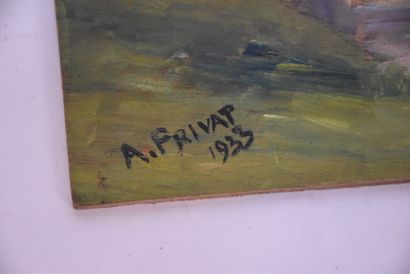 A. PRIVAT

Set of watercolors and 12 panels...