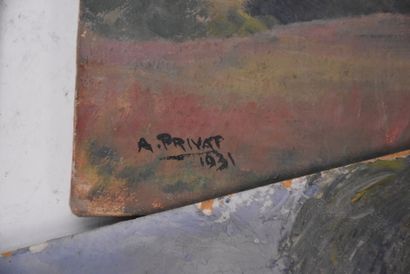 A. PRIVAT

Set of watercolors and 12 panels...