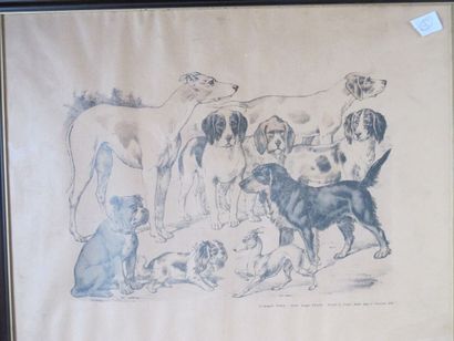 MANNETTE

Set of 17 framed pieces

(as i...