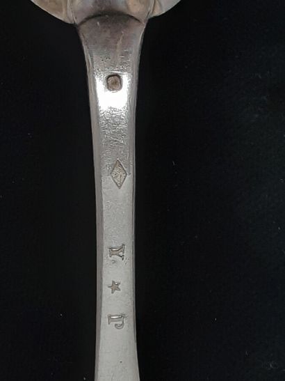 Six teaspoons, a large cutlery, a stew spoon...