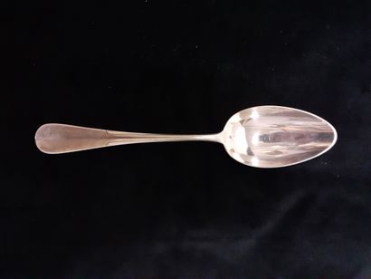 Twelve silver dessert spoons, Nepvou de Carfort...