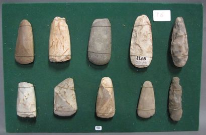 NEOLITHIC

Panel of seven polished flint...