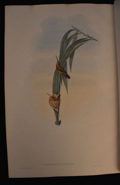 GOULD (John). A monograph of the trochilidae...