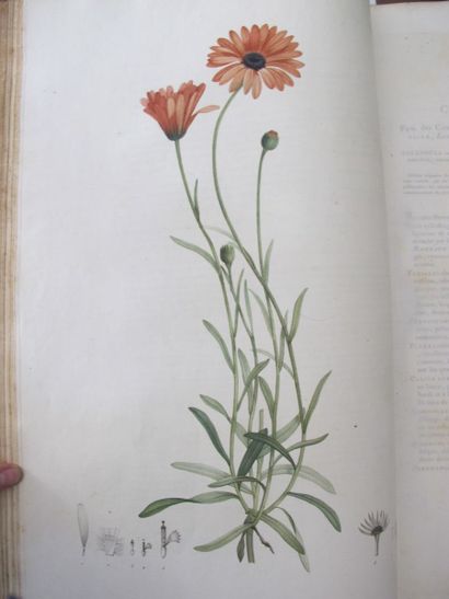 REDOUTÉ (Pierre-Joseph). VENTENAT (Étienne-Pierre)....
