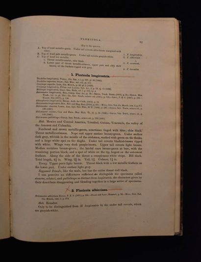 GIRAUD ELLIOT. A classification and synopsis...