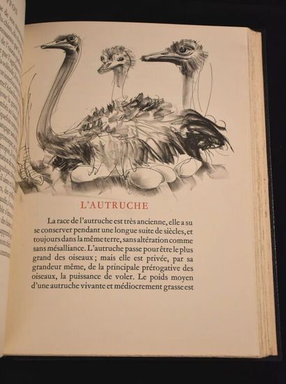 BUFFON. Histoires naturelles. Textes choisis....