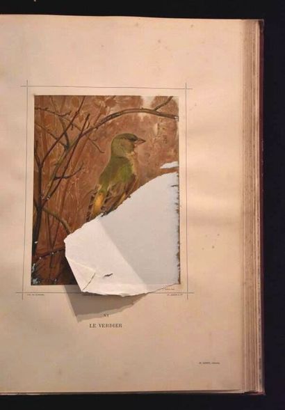 MULSANT (E.) et Édouard VERREAUX. Histoire...