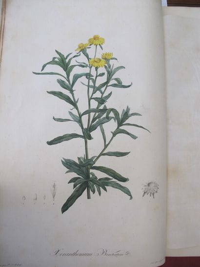 REDOUTÉ (Pierre-Joseph). VENTENAT (Étienne-Pierre)....