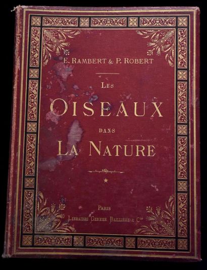 MULSANT (E.) et Édouard VERREAUX. Histoire...