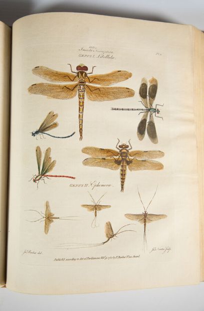 BARBUT (James). Les Genres des insectes de...
