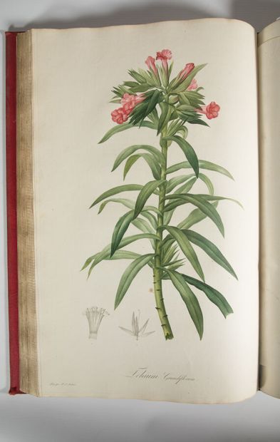 REDOUTÉ (Pierre-Joseph). VENTENAT (Étienne-Pierre)....