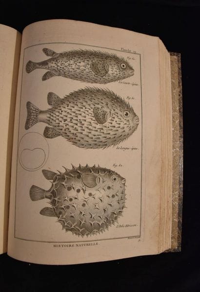 BONNATERRE (Abbé). Tableau encyclopédique...