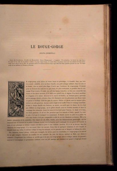 MULSANT (E.) et Édouard VERREAUX. Histoire...