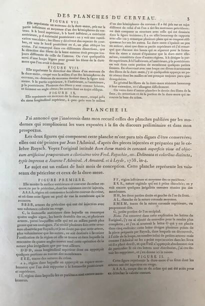 VICQ D'AZYR (Félix). Planches anatomiques...