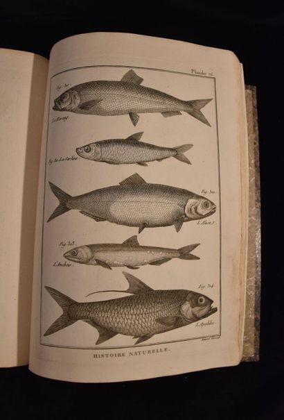 BONNATERRE (Abbé). Tableau encyclopédique...