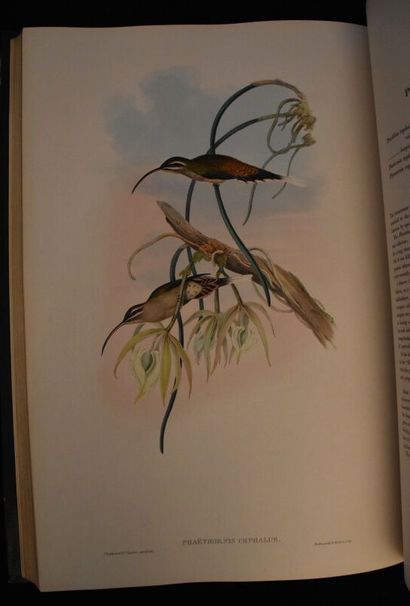 GOULD (John). A monograph of the trochilidae...