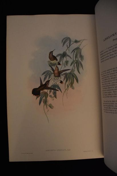 GOULD (John). A monograph of the trochilidae...