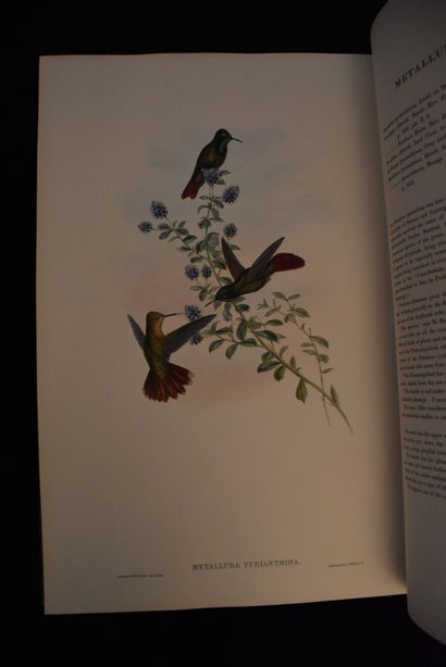 GOULD (John). A monograph of the trochilidae...
