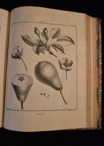 DUHAMEL DE MONCEAU (Henri-Louis). Traité...
